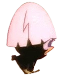 Calimero Passo 1